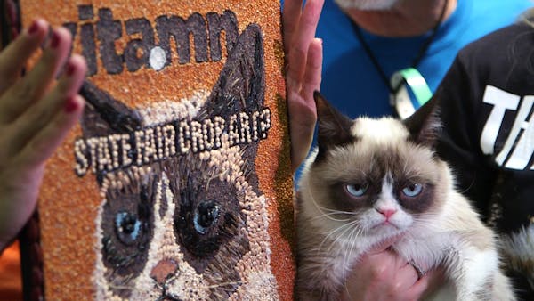 Aug. 2013: Grumpy Cat hits the State Fair