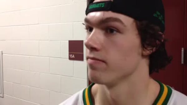 Malmquist helps Edina reach state once more