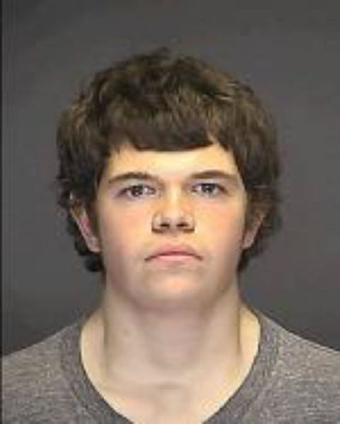Teen pleads guilty to killing friend's grandmother