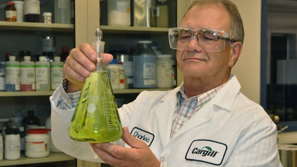 Inside Business: Cargill gets big award for being green