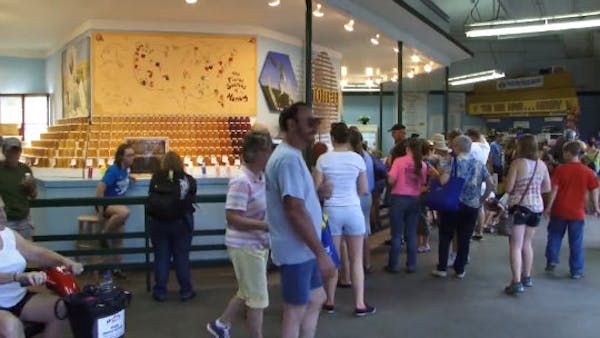 State Fair teaches people about bees