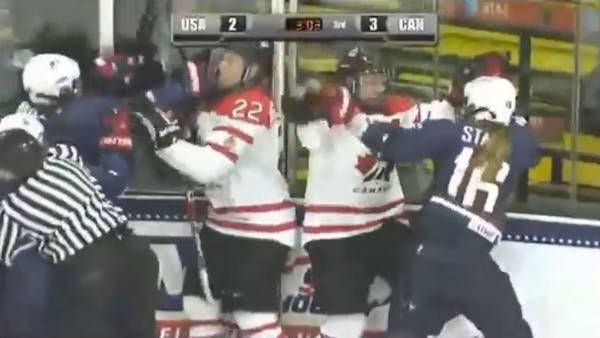A hockey brawl you wouldn't expect