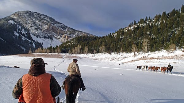 Elk hunting in Montana's Bob Marshall Wilderness