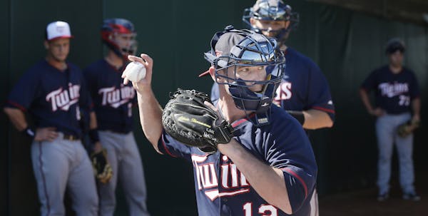 Herrmann makes Twins' Opening Day roster