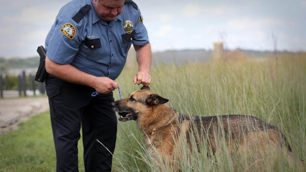 St. Paul police K-9 follows wandering boy's scent back to his home