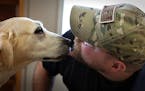 Service dogs for veterans with PTSD get closer look