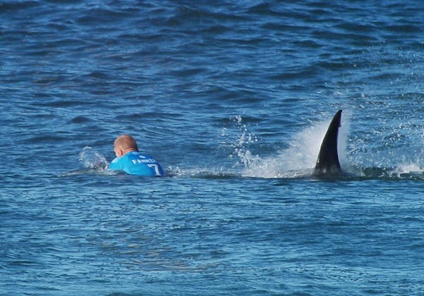 Surfer fights off shark during competition