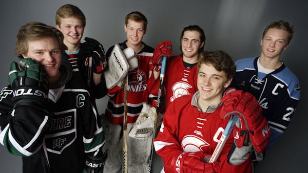 Meet the Star Tribune All-Metro boys' hockey team