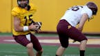 Gophers quarterback Leidner has concussion, won't play at Maryland