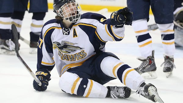 Is this finally Hermantown's year in Class 1A?