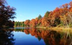 Minn. DNR says fall color will be 'spectacular' this year