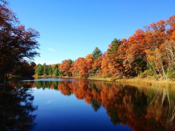 Minn. DNR says fall color will be 'spectacular' this year