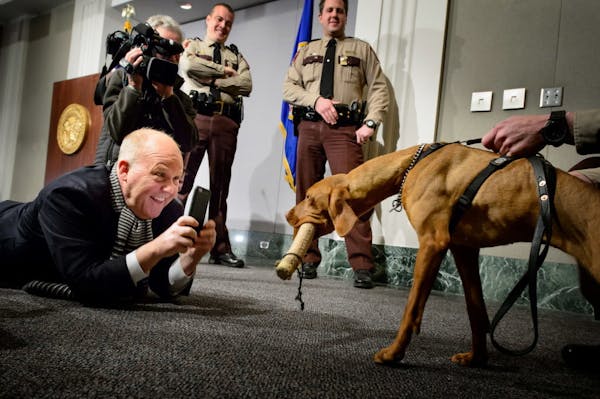 Meet Matka, the Capitol's new bomb-sniffing dog