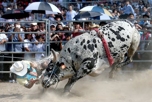 Mexican bull riders descend on Faribault