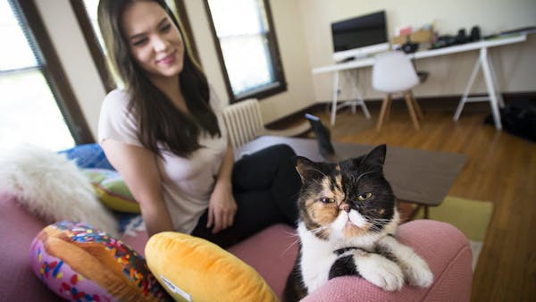 Minneapolis celebrity cat Pudge finds Internet fame