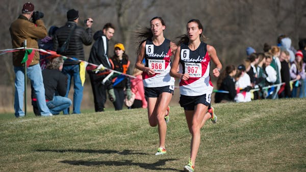 Alexandria twins go 1-2 at state cross-country meet