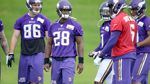 Peterson's return to Vikings practice field is smooth