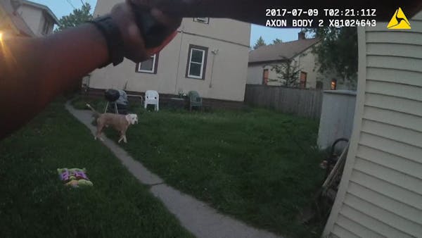 In July 2017, body camera video captured dogs being shot by Mpls. police