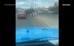 Escaped circus elephant stops traffic in Montana