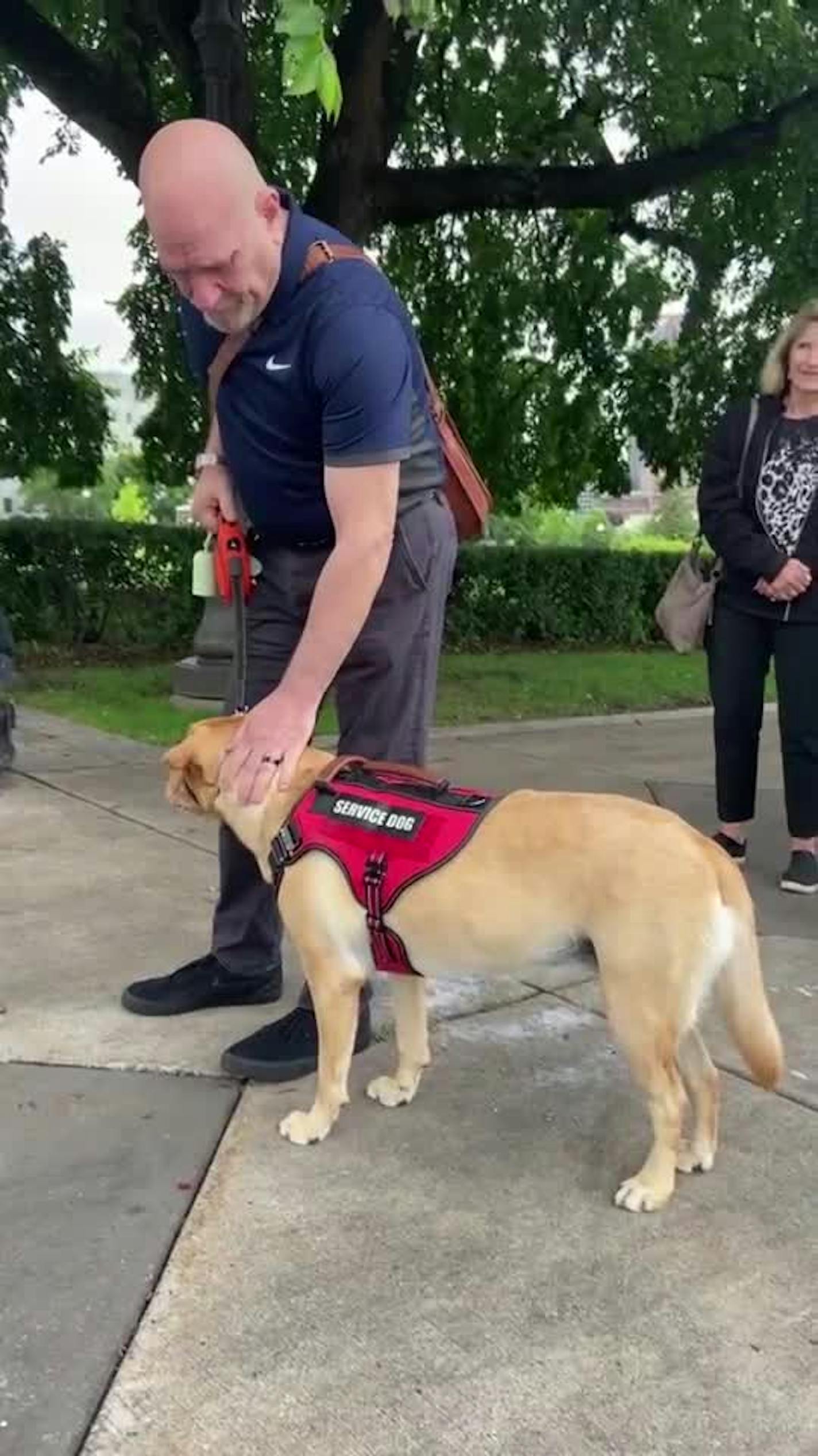 People bring service dogs to the Capitol to honor Mark and Melissa Hortman's dog, Gilbert
