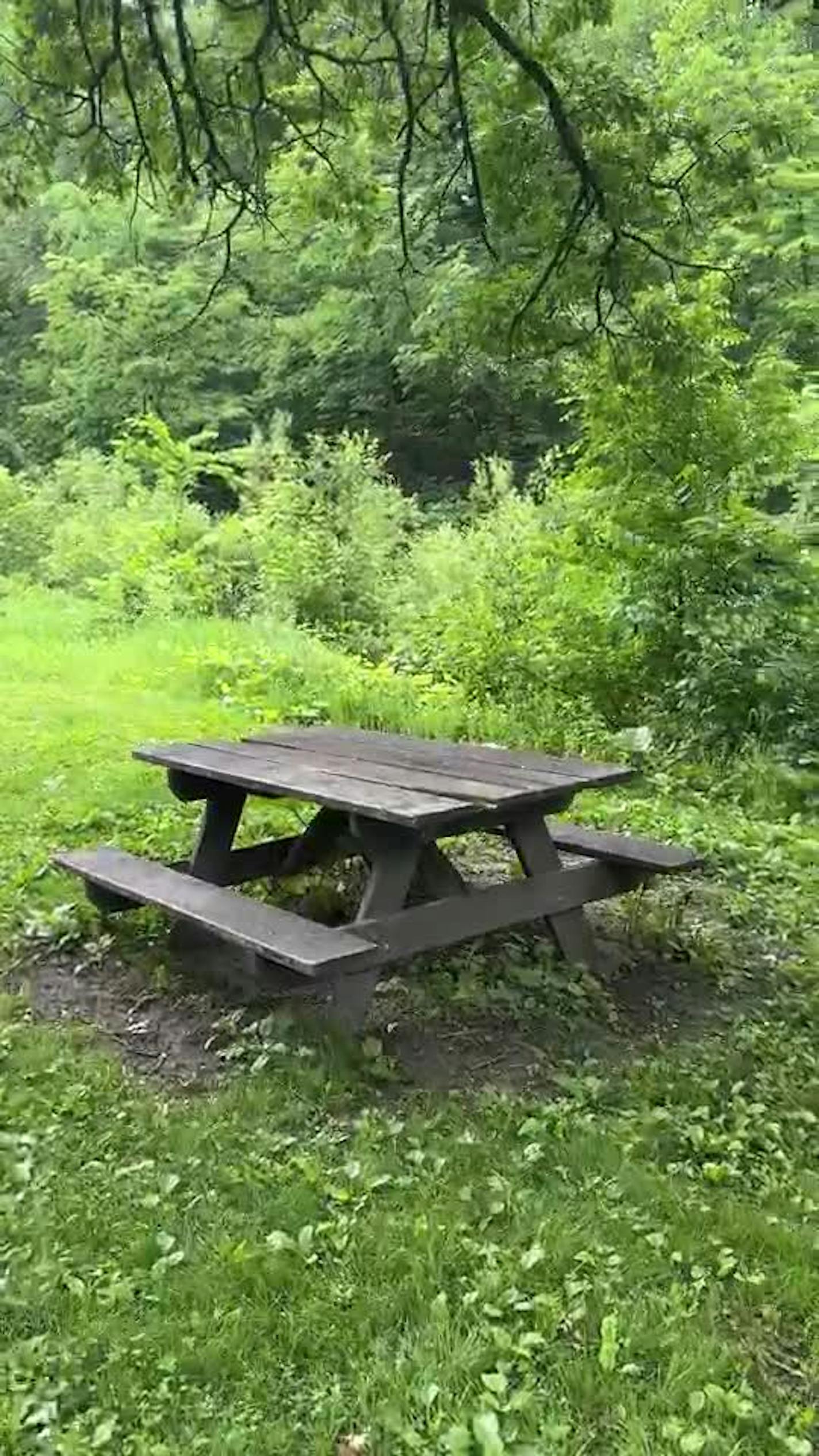 WALK - picnic table