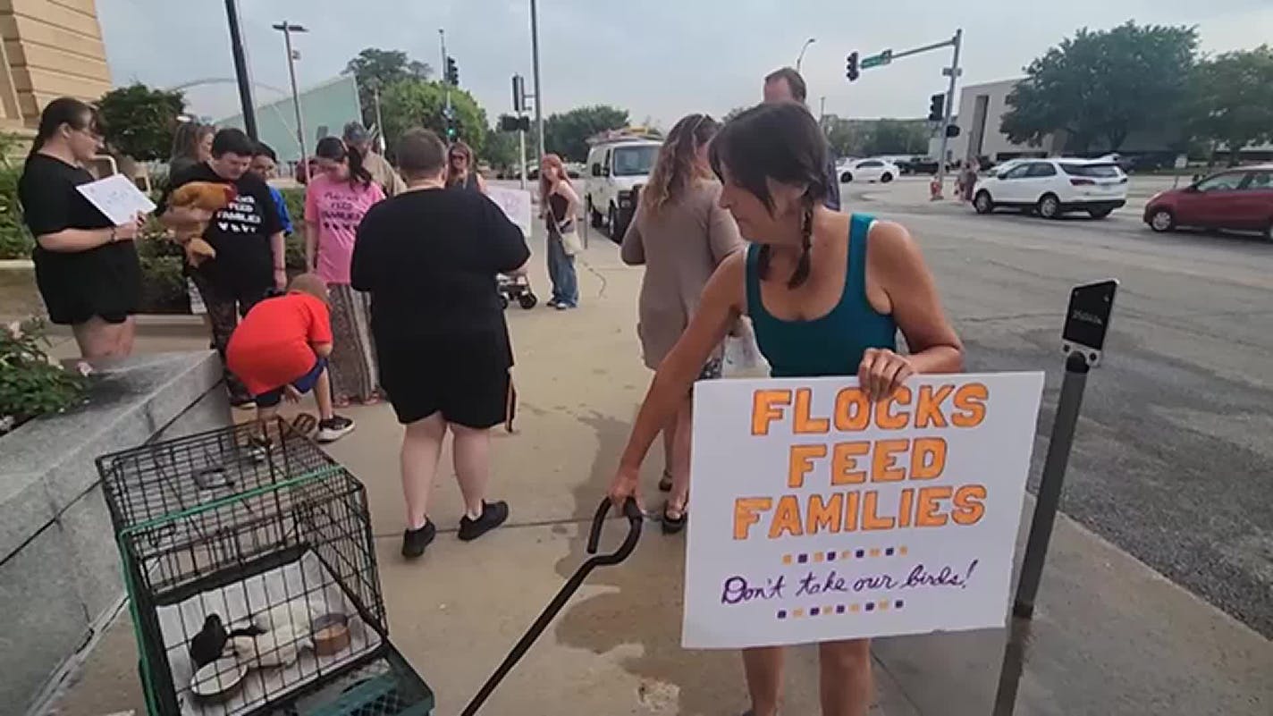 Move to limit fowl in Des Moines eggs residents on to protest with chicken parade