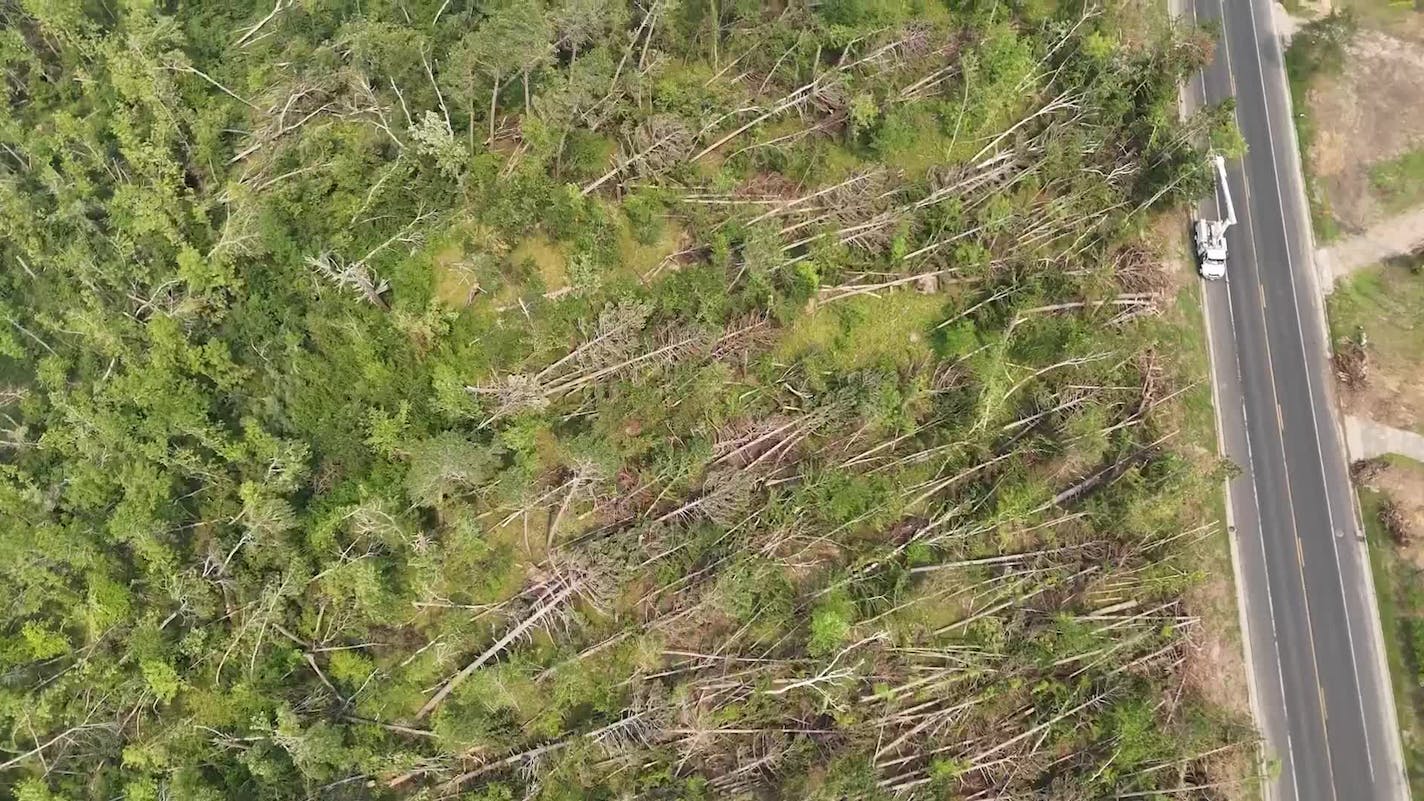 Crews clear trees on Lake Avenue in Bemidji that fell during a devastating storm in June
