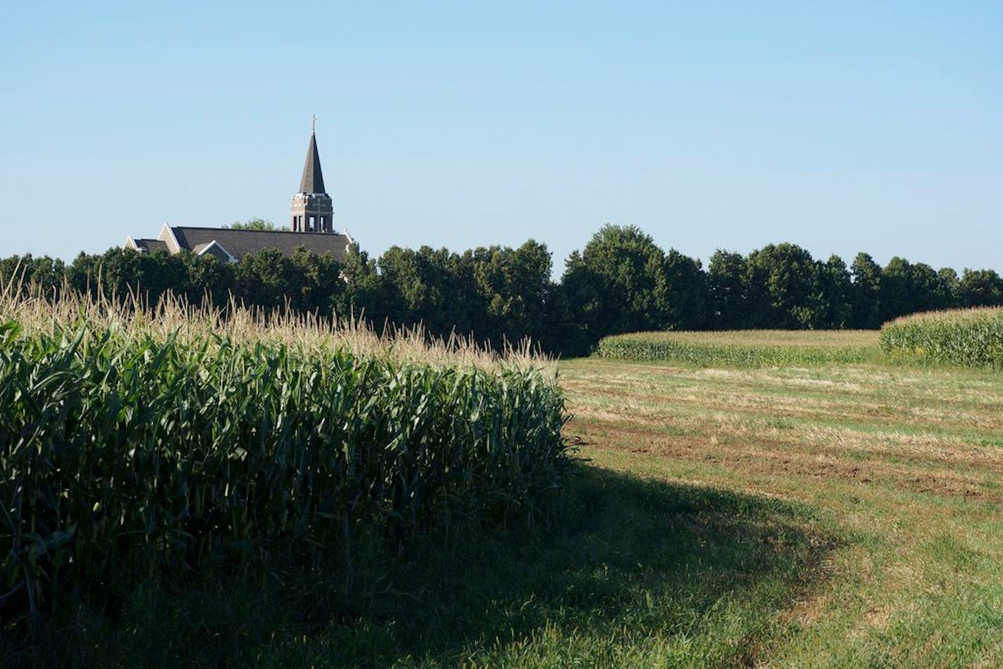 Minnesota’s Lutherans honor faith through service — and building a place to belong