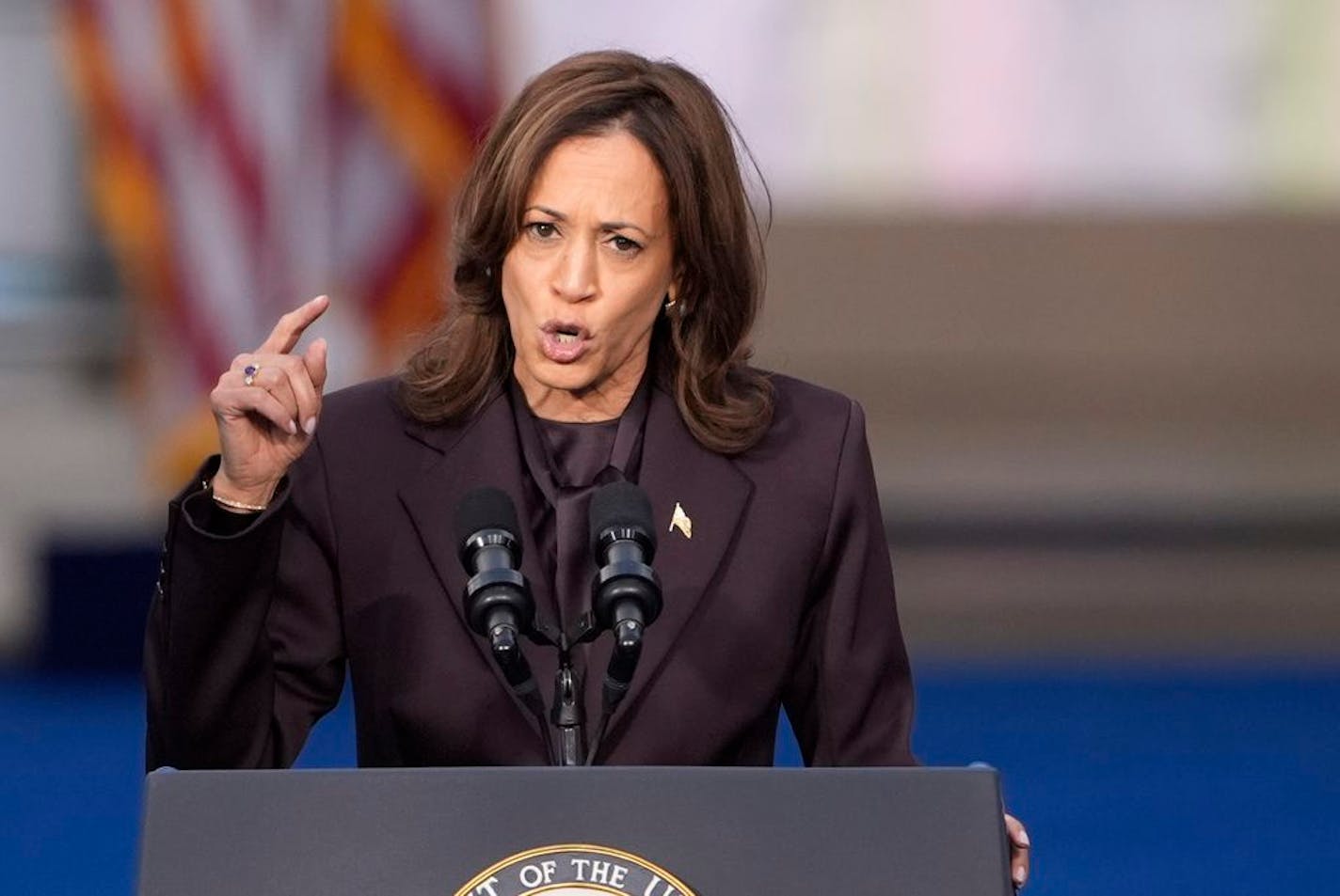 Vice President Kamala Harris: 'Sometimes the fight takes awhile'